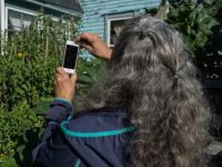 woman taking photo of garden