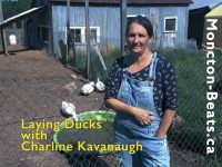 woman in front of barnyard with ducks