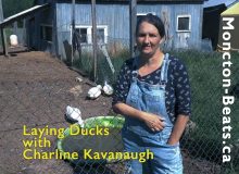woman in front of barnyard with ducks